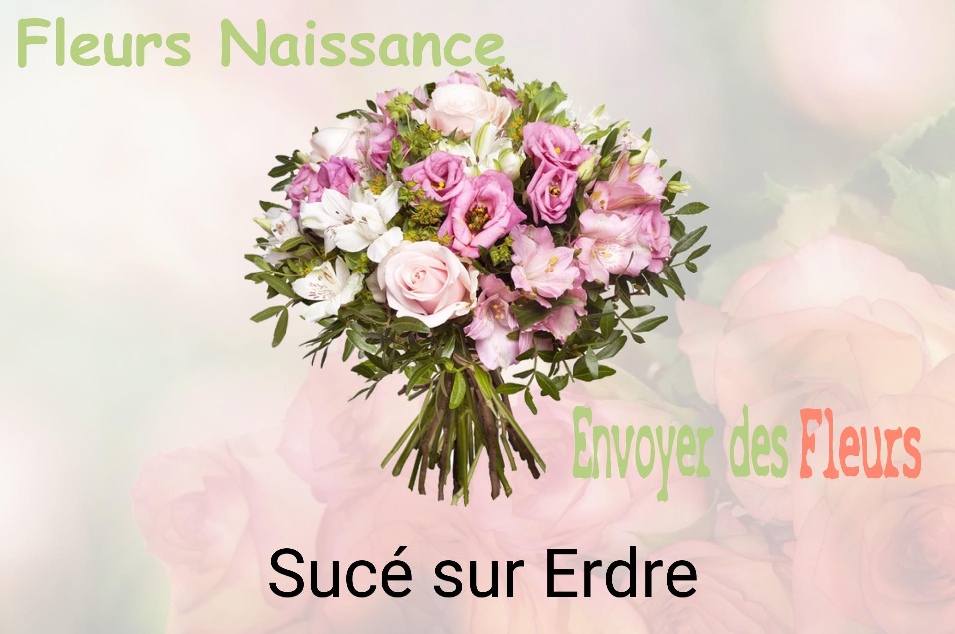 Bouquet de fleurs de naissance livré à Sucé-sur-Erdre
